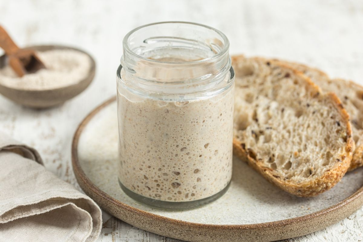 sourdough-and-starter-x